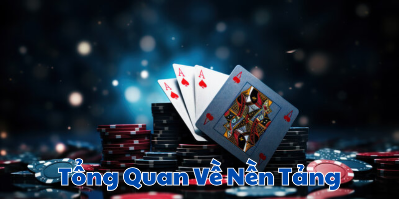 Tổng Quan Về Nền Tảng