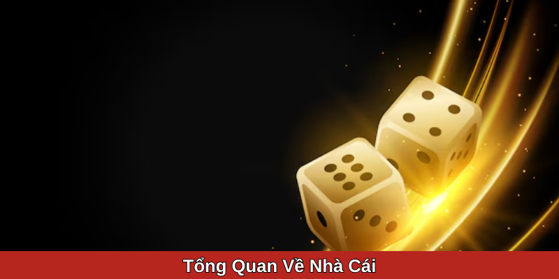 Tổng Quan Về Nhà Cái